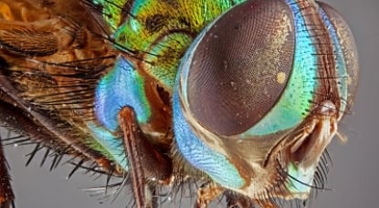 Micro HM Lens Photography